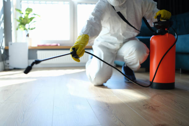 Reliable Hoarding Cleanup contractor in Rochester, WA by Dulley Family Biohazard Services